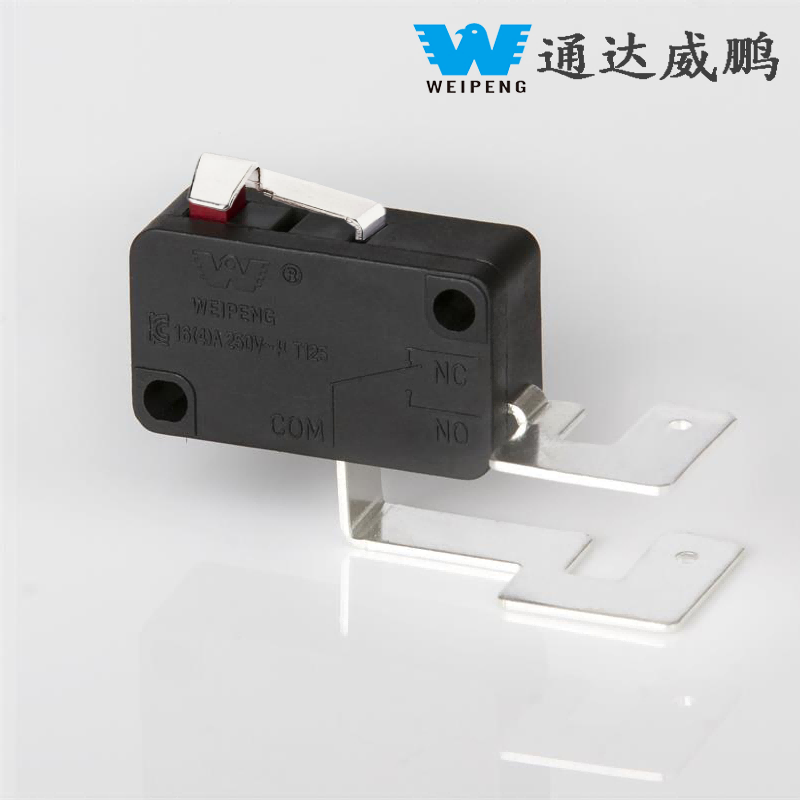 16A/21A Iron Pin / Aeris Pin High Current Micro Switch