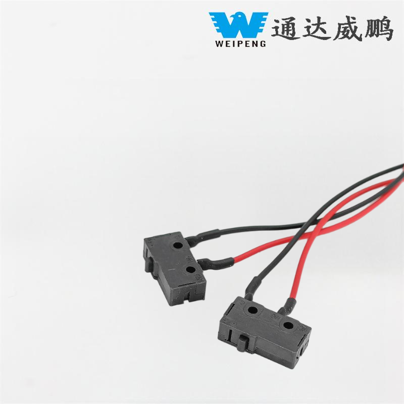 II-pin Parvus Suspendisse Cathedra Micro Switch