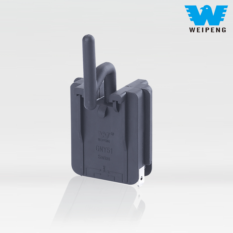 Micro Purquilens SWITCH: Core Vis YueQing Tongda Wired Electric Factory ad ponere suum ducit positus in industria