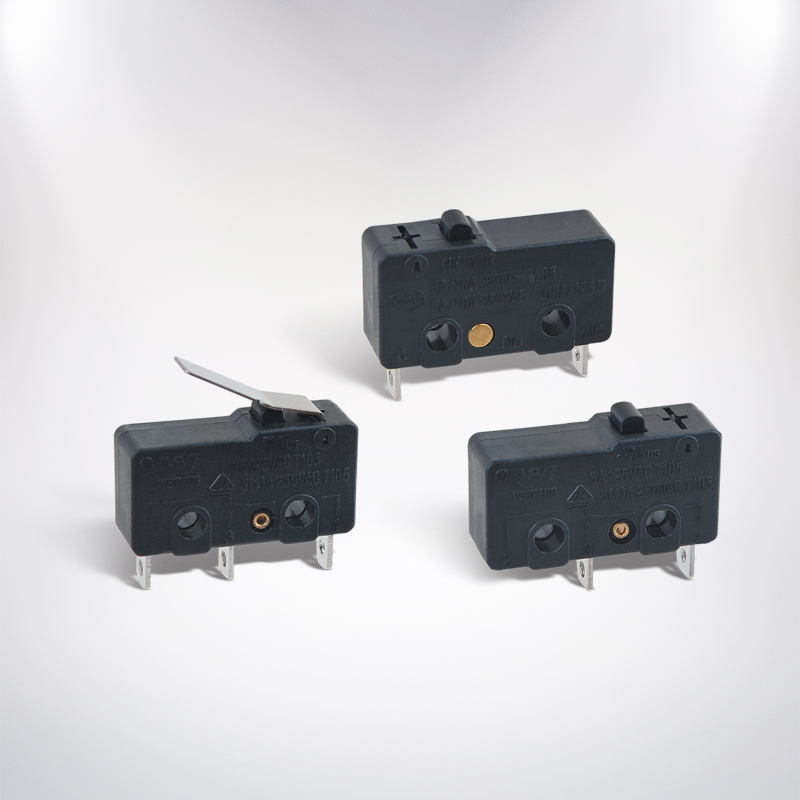 Parvus Micro SWITCH: A Guide pro emptoribus