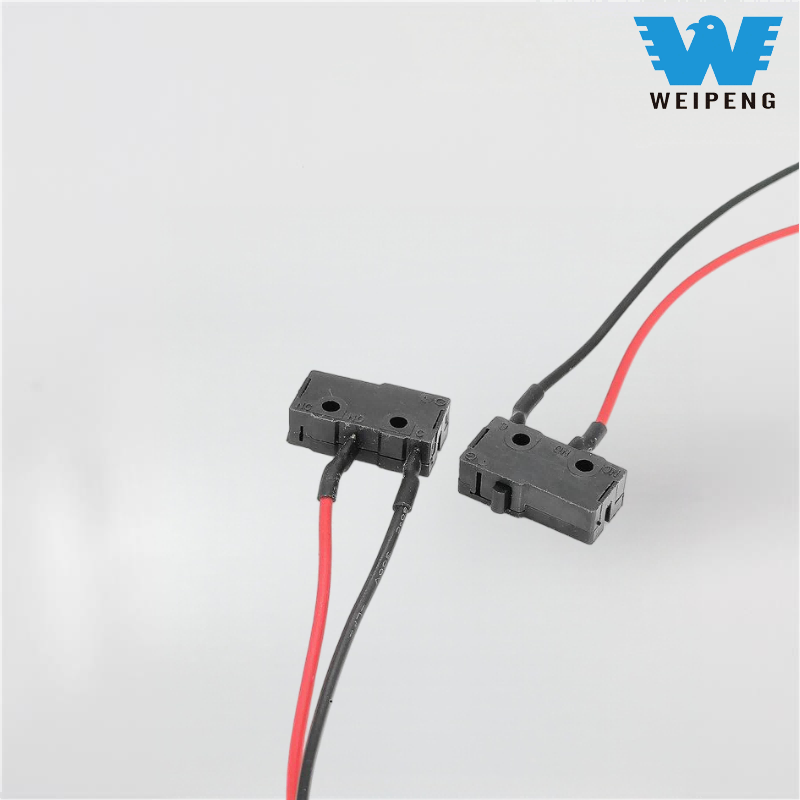 5A 10A Ludus Console Hair Dryer Wired Micro Switch