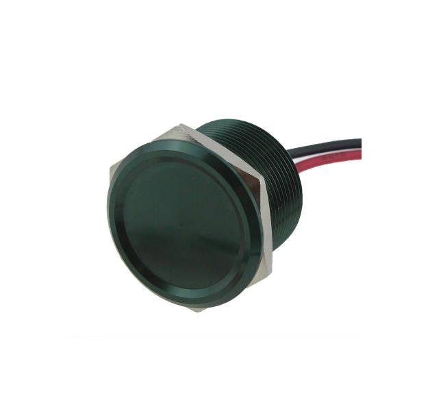 Dis Puga pyga Micro Cie 22mm Piezo Switch