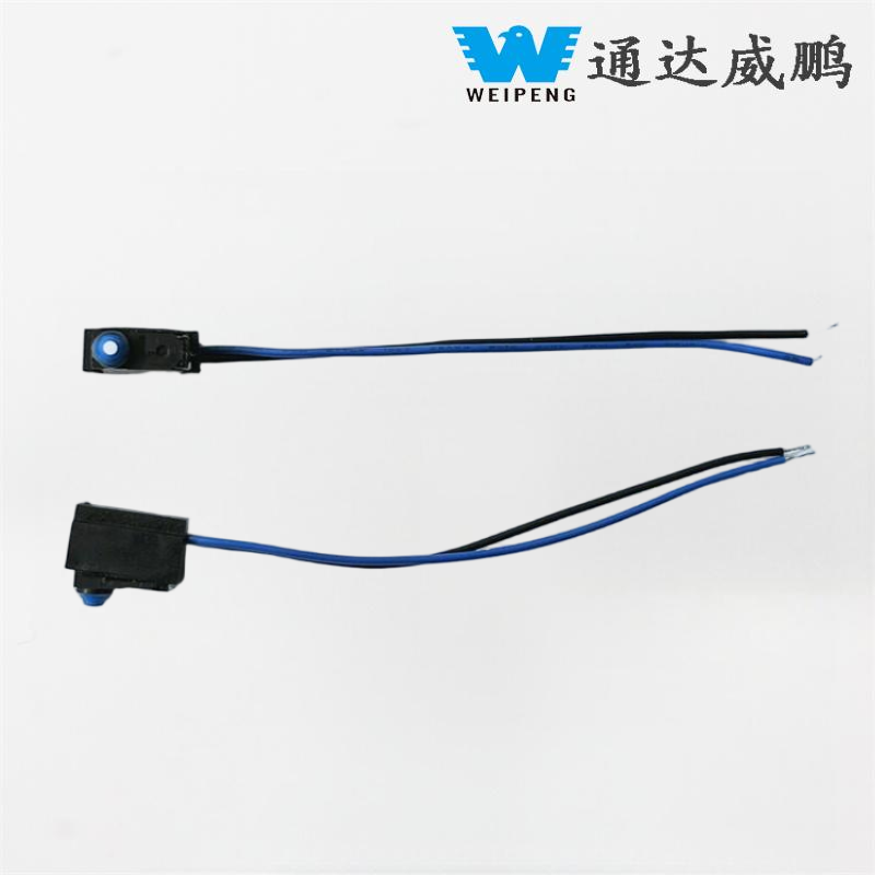 Signatum IP67 IMPERVIUS Micro Switch