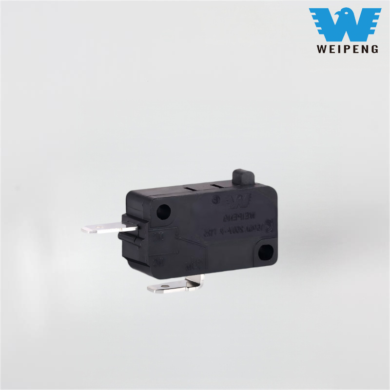 Argentum Contactus Deep Fryer Micro Switch