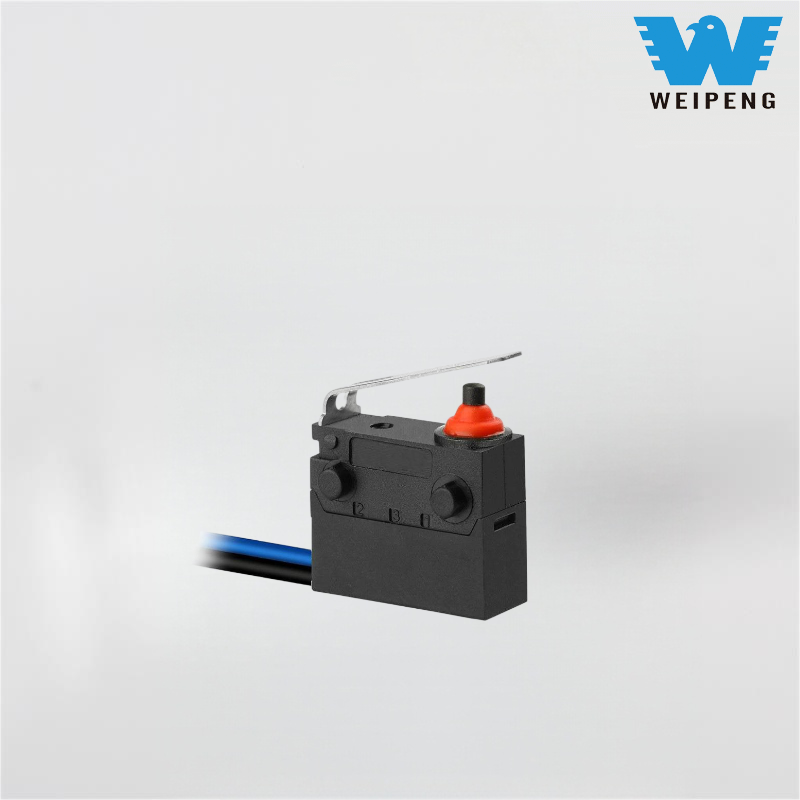 Weipeng Automotive Electric Tailgate Car Apparatus Shift IMPERVIUS Test Switch