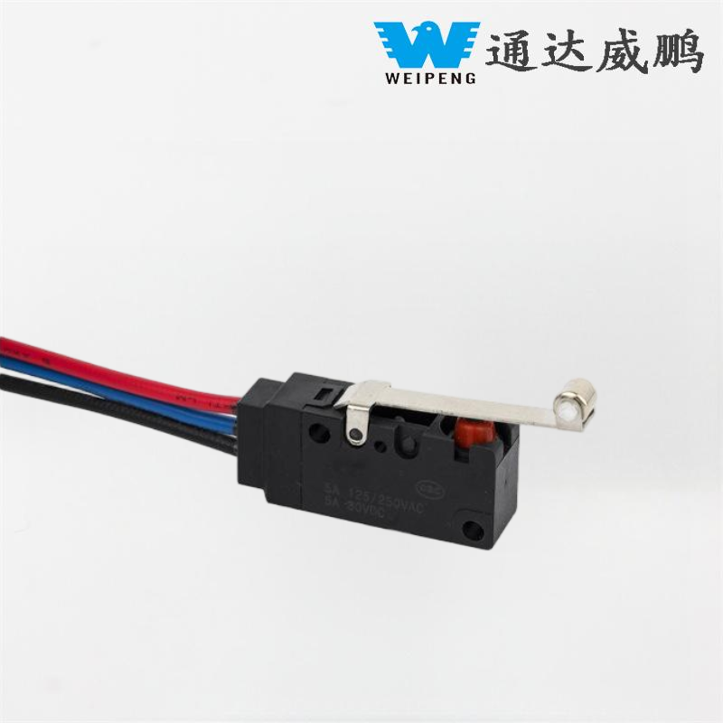 Weipeng High-Current Home Appliance Rec IMPERVIUS Micro Switch
